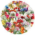 50Pcs Transparent Tulip Waterproof Toy Sticker Decorative Water Cup Bookcase Window Luggage Refrigerator Sticker Not Repeat