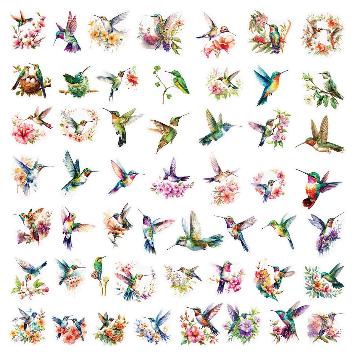 50-Pack Watercolor Hummingbird Transparent PET Stickers for Phone Case Luggage Laptop Student Stationery Waterproof Decals