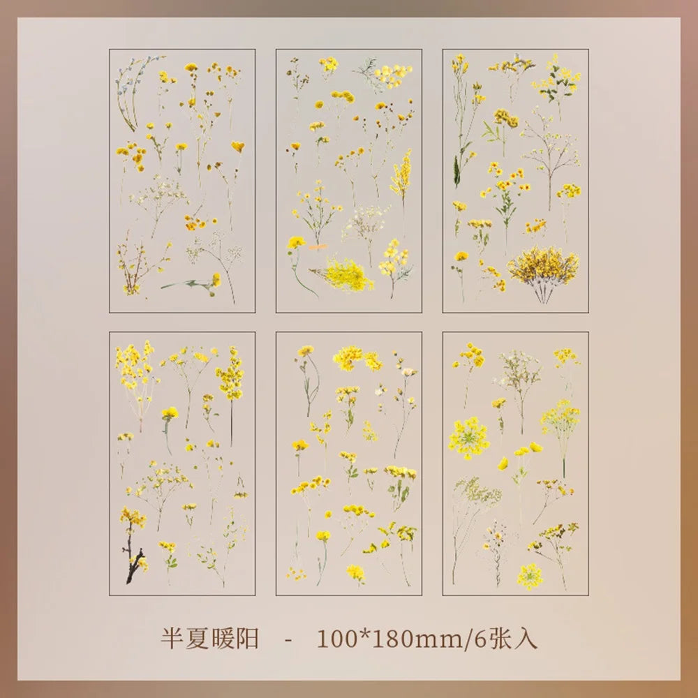 6pcs/pack Transparent PET Stickers Scrapbooking Materials DIY Junk Journal Collage Floral Leaves Plants Decor Stickers
