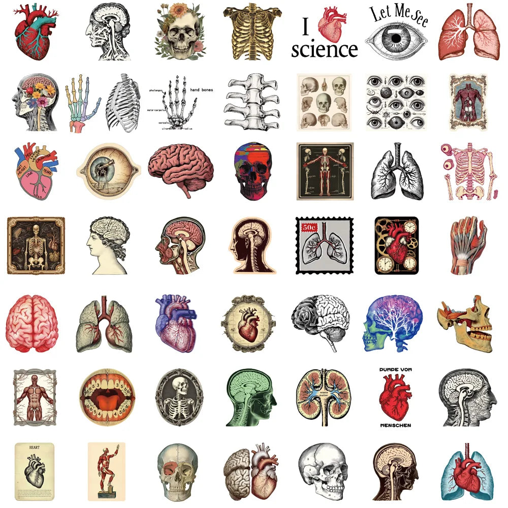 50PCS Retro Scientific Anatomy Sticker Physiology Anatomy Luggage Laptop Cars PVC Guitar Coffee Skateboard Notebook Decals