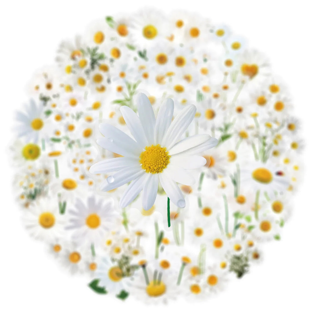 50PCS Transparent Daisy/Sunflower Stickers Decorative Guitar Notebook Waterproof PET Notebook Stationery Box Flower Stickers