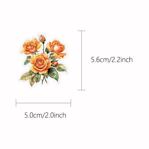 10/30/50Pcs Transparent PET Vintage Orange Stickers Books Luggage Stickers Phone DIY For Stationery Decor