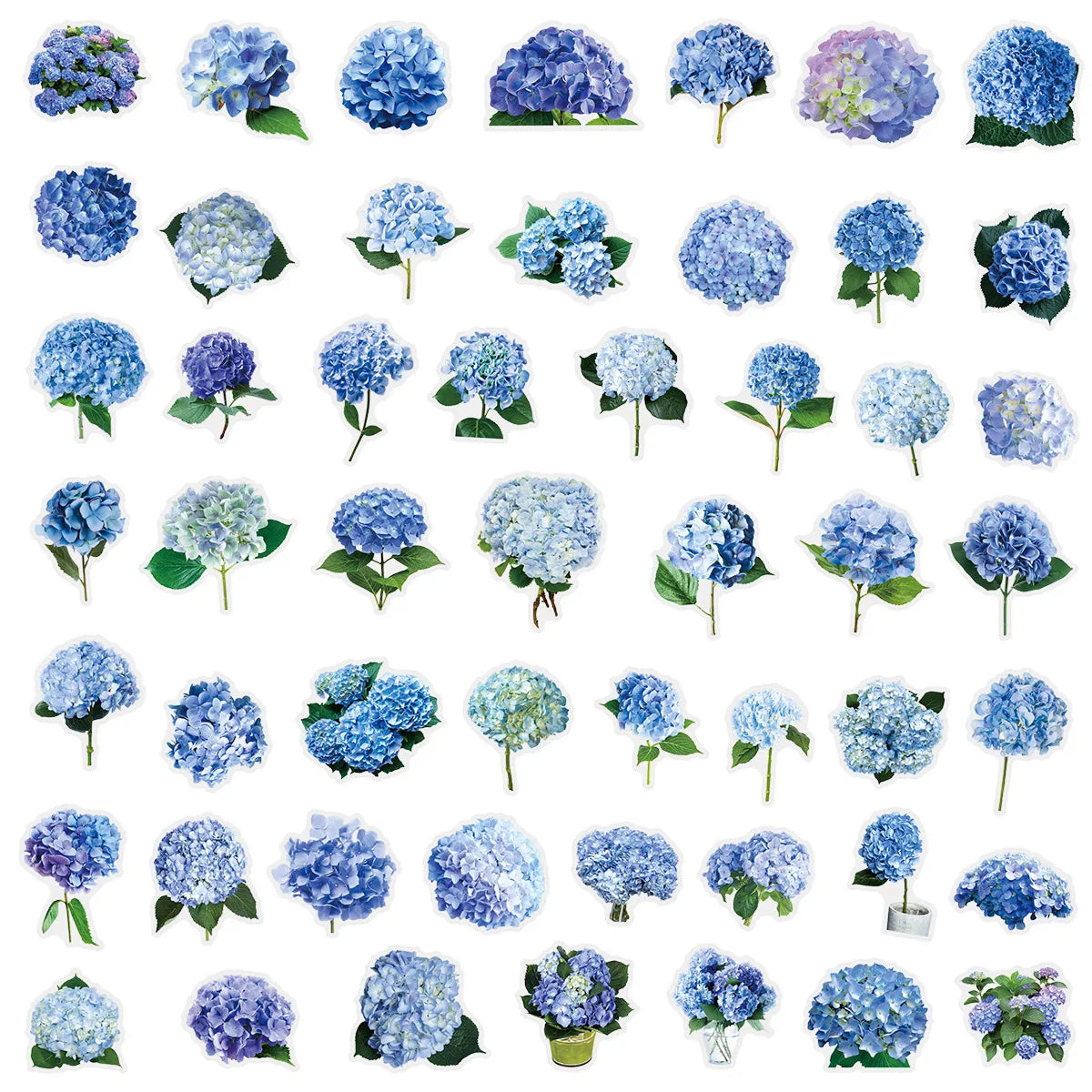 50PCS Hydrangea Graffiti Stickers Fresh Flower Plant Decoration Water Cup Notebook Stationery Box Pen Holder Decor Stickers
