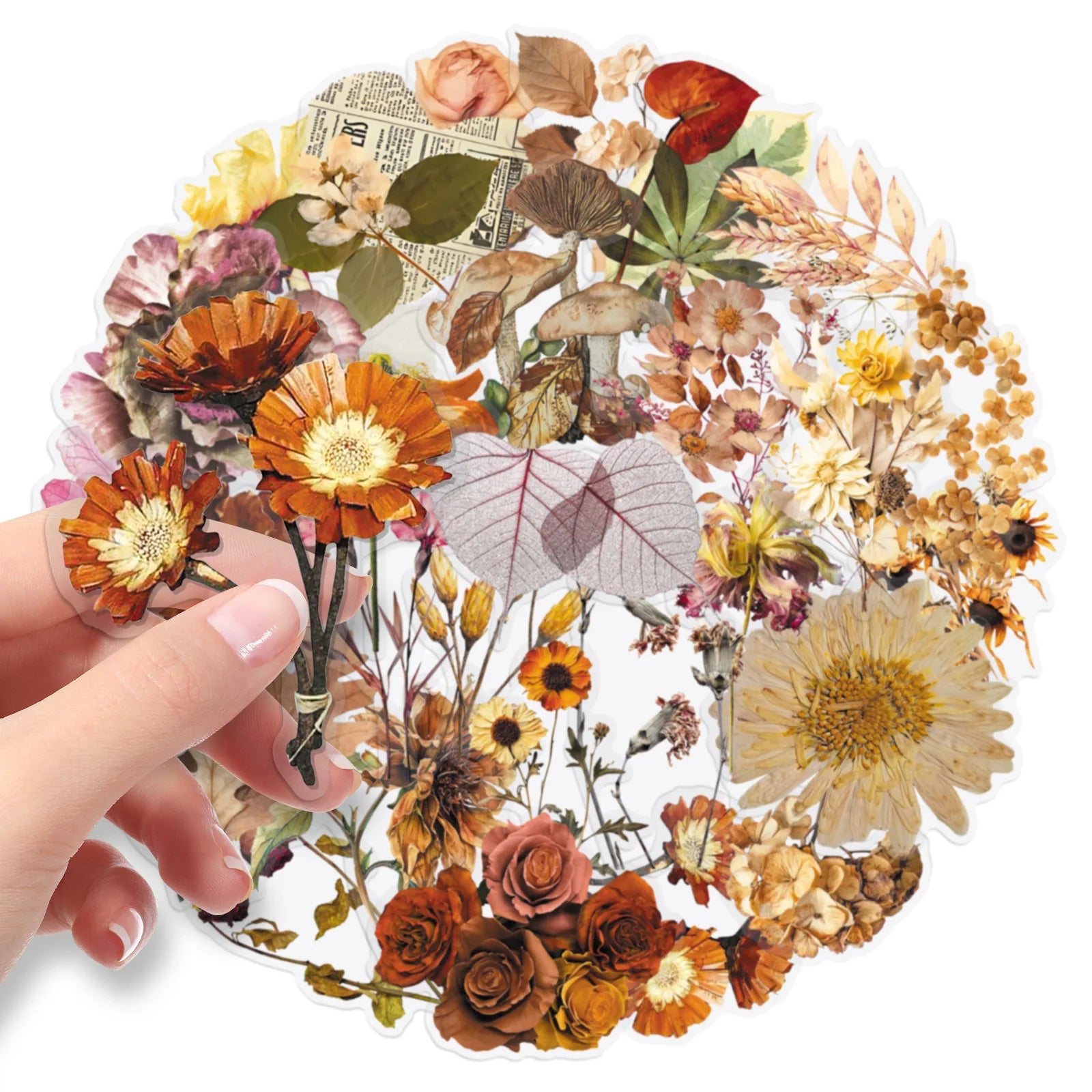 50/100PCS Cartoon Plant Transparent Stickers Forest Flower Specimen Realistic Flower Tent Decoration PET Waterproof Stickers