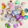 56/112 Pcs New Exquisite Sea Shell Clear PET Stickers Reward for Suitcase Helmet Fridge Stationery Box Waterproof Decals