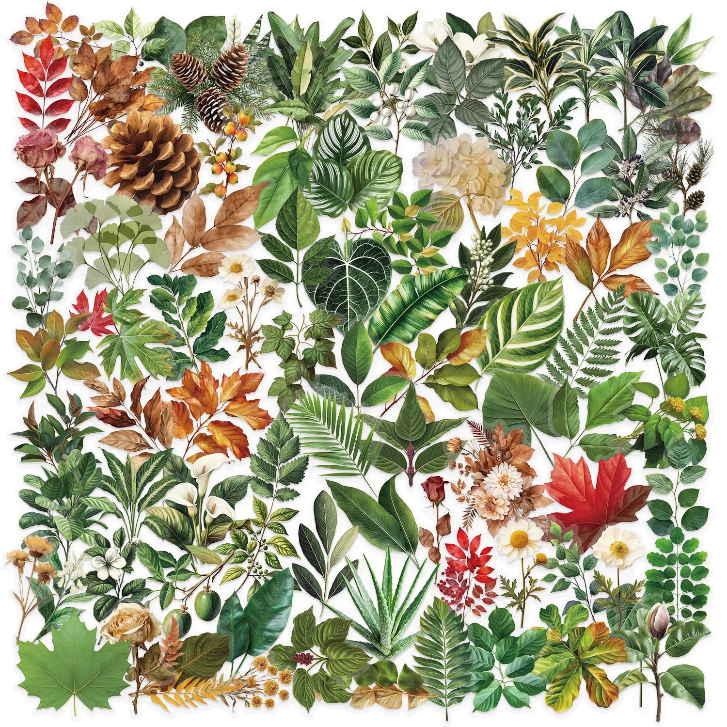 100PCS Green Plant Leaf Stickers Green Plant DIY Decor Phone Guitar Stationery Box Notebook Pen Holder Transparent PET Stickers