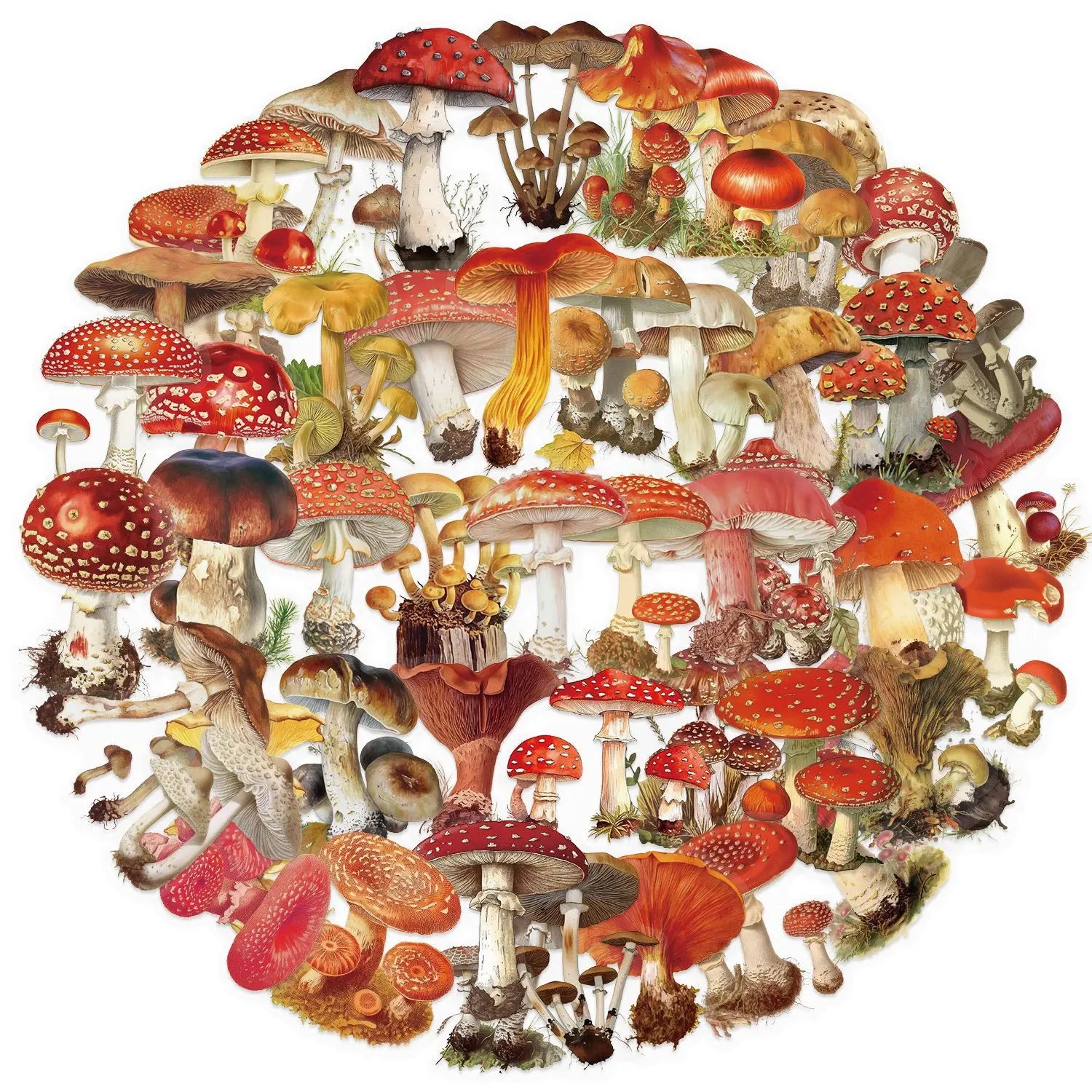 50Pcs Clear Cartoon Vintage Mushroom Stickers, Waterproof PET Children Stationery Decals Journal Guitar Notebook Decor Sticker