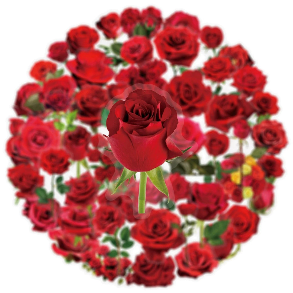 50PCS Transparent PET Red Rose Stickers Handheld Account Phone Stationery Box Gift Box Wedding Decoration PET Waterproof Sticker