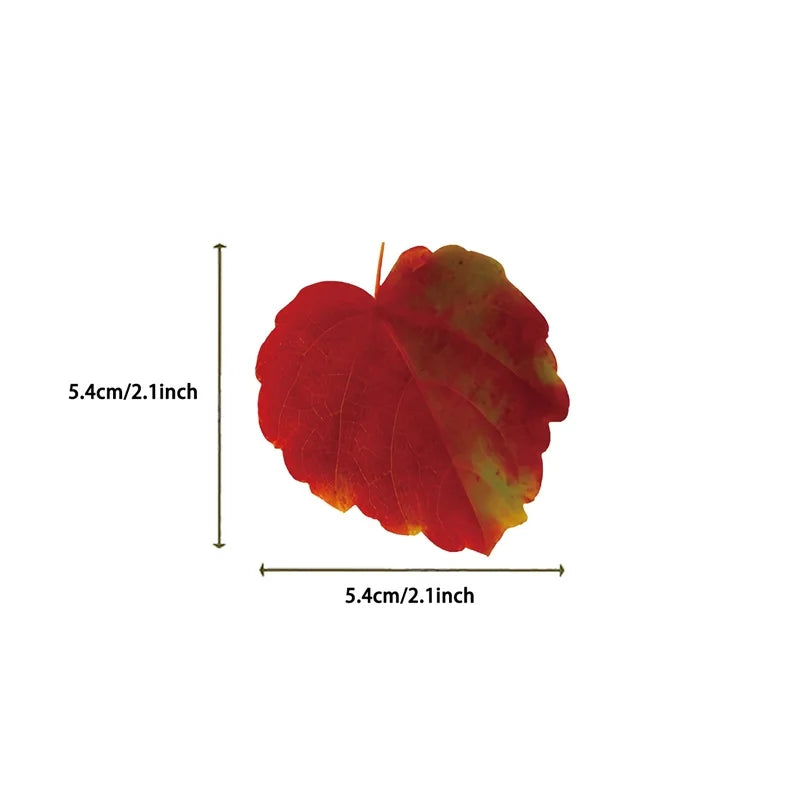 50PCS Cartoon Leaf Colored PET Sticky Sticker Aesthetic Tear Open Decoration Scrapbooking School Stationery Supplies for Kids
