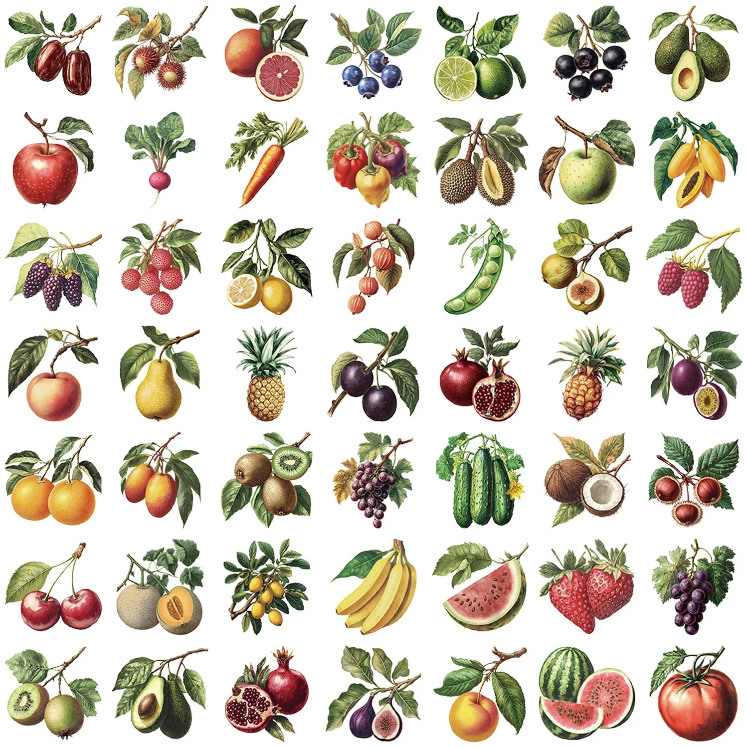 50pcs Fruit Stickers Blueberry Transparent PET Stickers DIY For Scrapbook, Journaling, Laptop, Bumper, Skateboard, Water Bottles