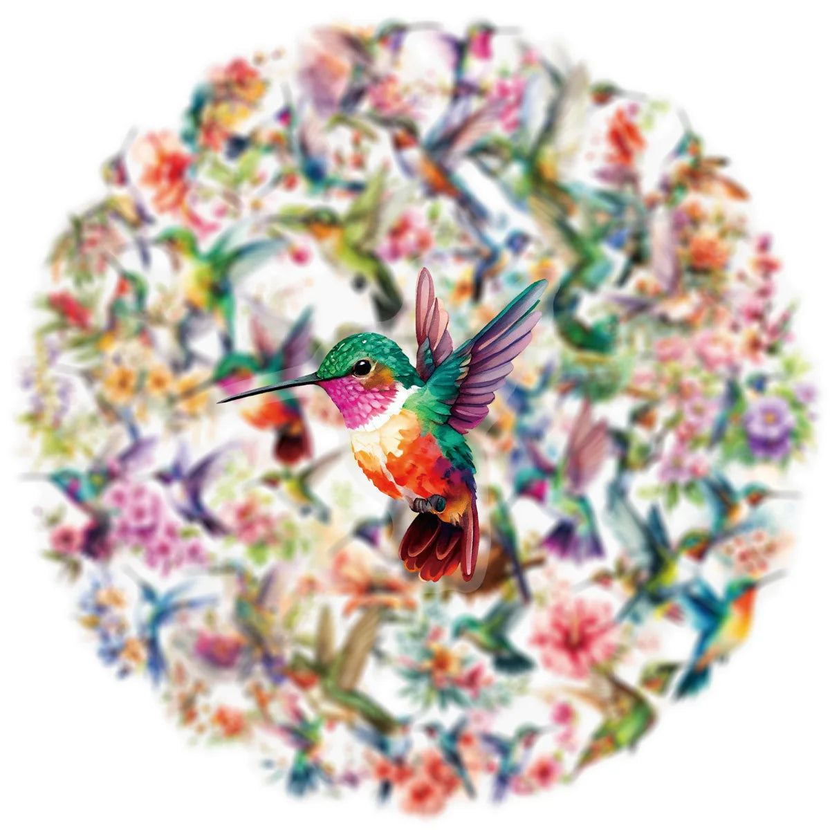 50-Pack Watercolor Hummingbird Transparent PET Stickers for Phone Case Luggage Laptop Student Stationery Waterproof Decals