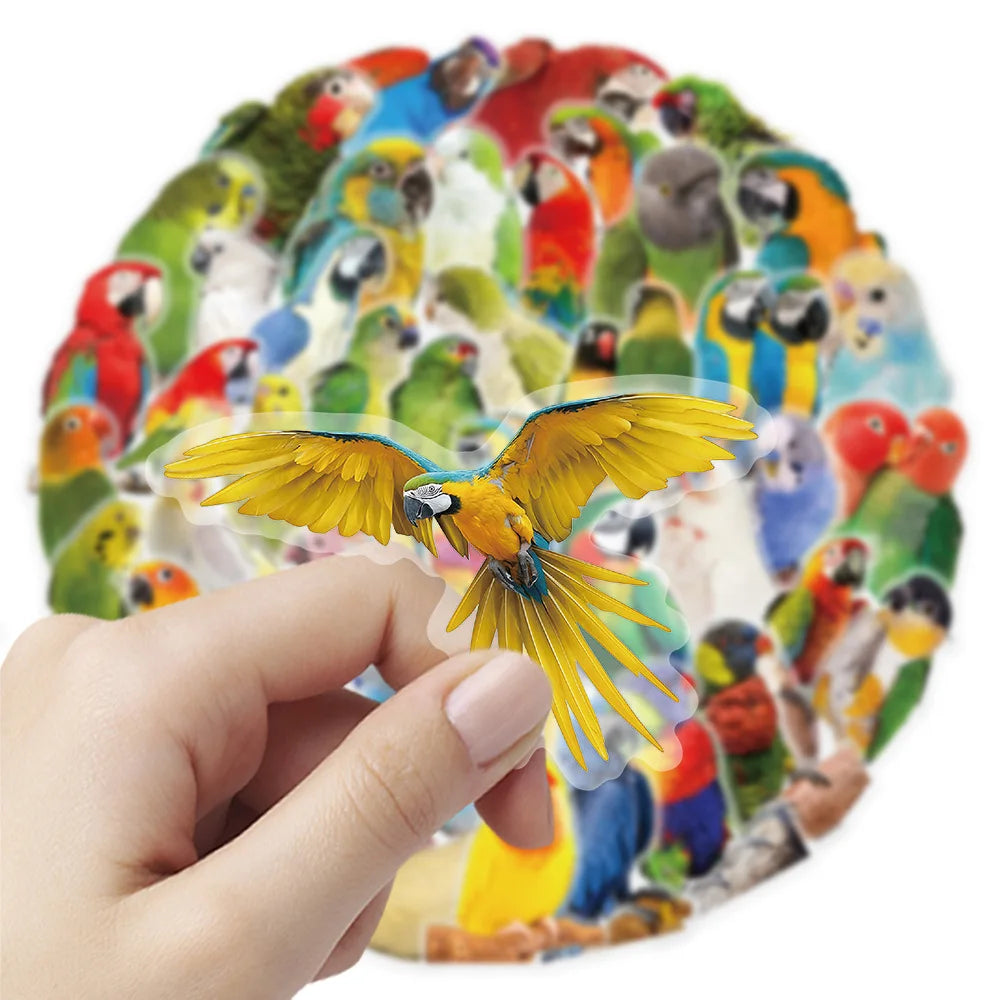 50-Pack Colorful Parrot Doodle PET Transparent Stickers Supplies Notebooks Luggage Waterproof Decorative Stickers