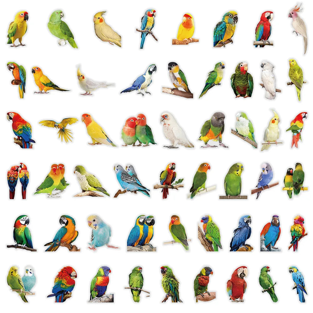 50-Pack Colorful Parrot Doodle PET Transparent Stickers Supplies Notebooks Luggage Waterproof Decorative Stickers