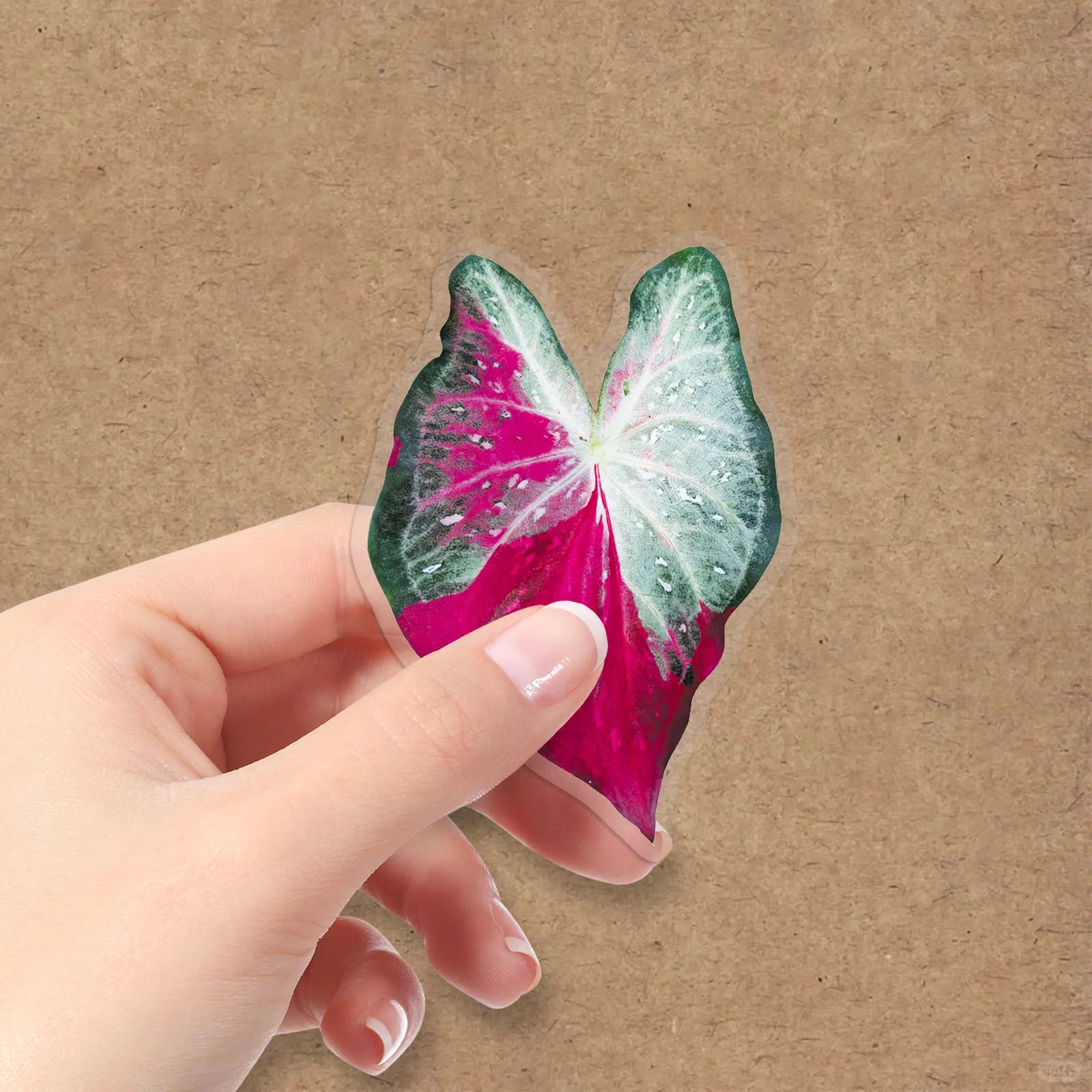 50-Pack Colored Leaf Plant Clear PET Plastic Stickers for Phones Tablets Guitars Helmet Luggage Notebook DIY Decoration