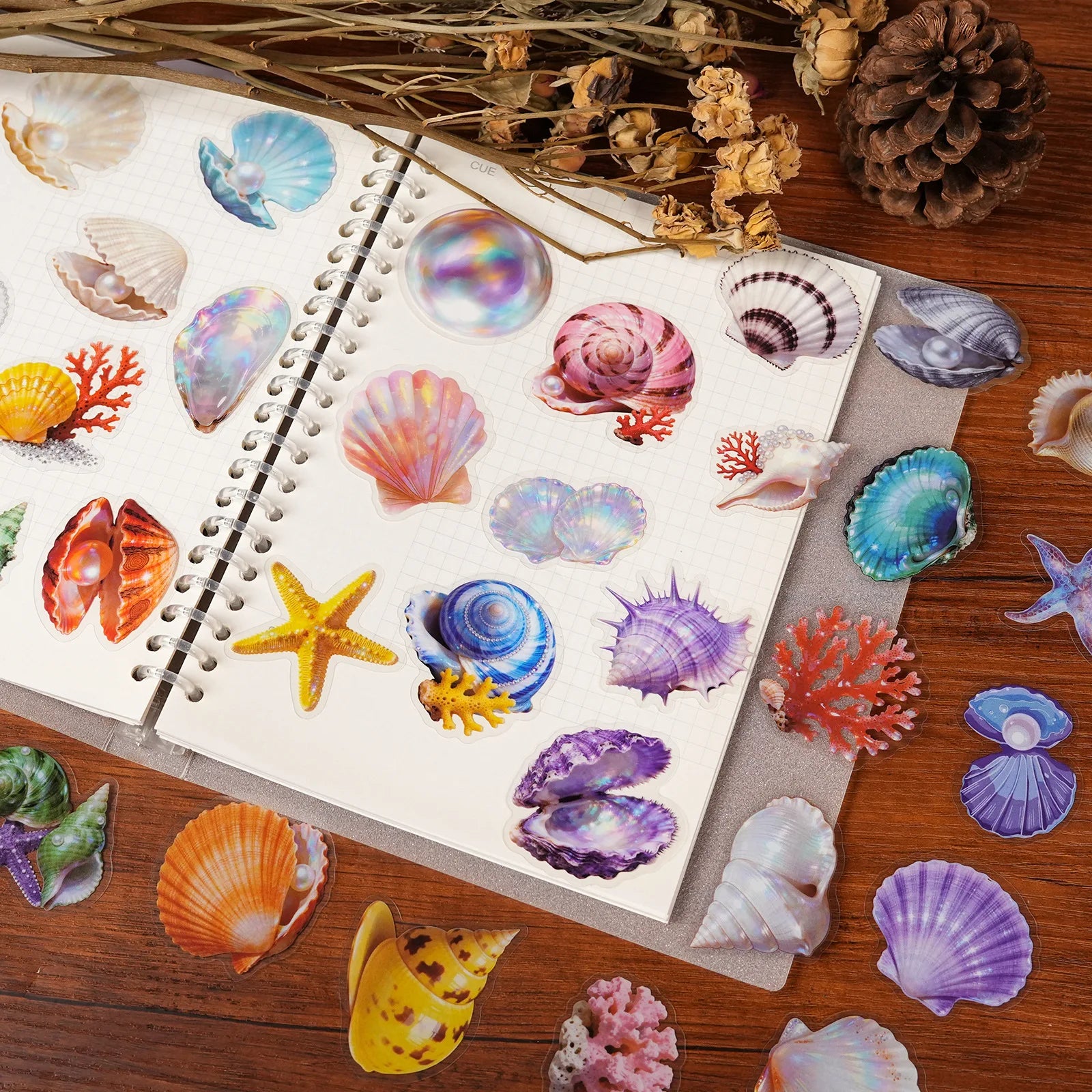 56/112 Pcs New Exquisite Sea Shell Clear PET Stickers Reward for Suitcase Helmet Fridge Stationery Box Waterproof Decals