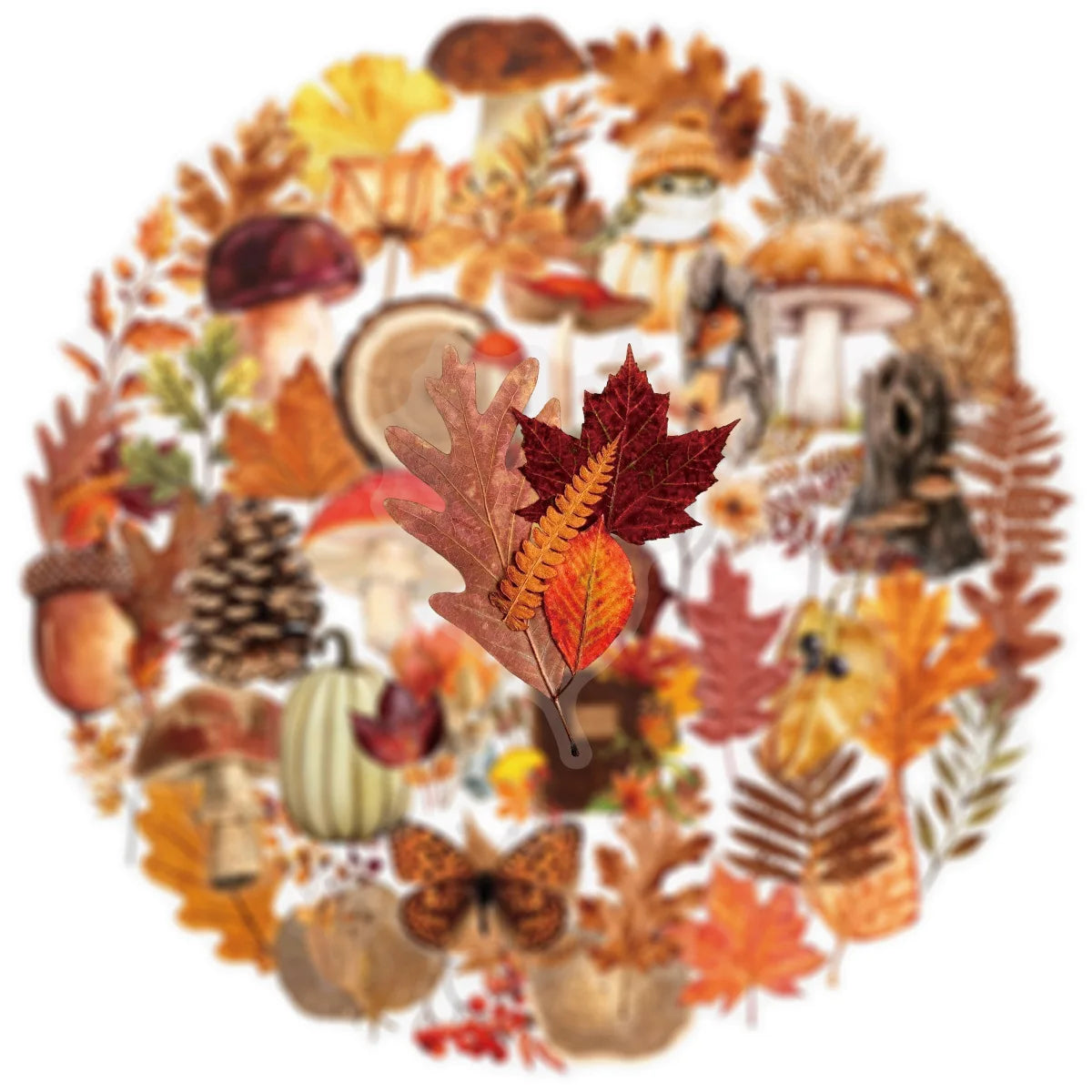 50/100PCS Cartoon Autumn Forest Plants Transparent PET Stickers Luggage Notebook Stickers