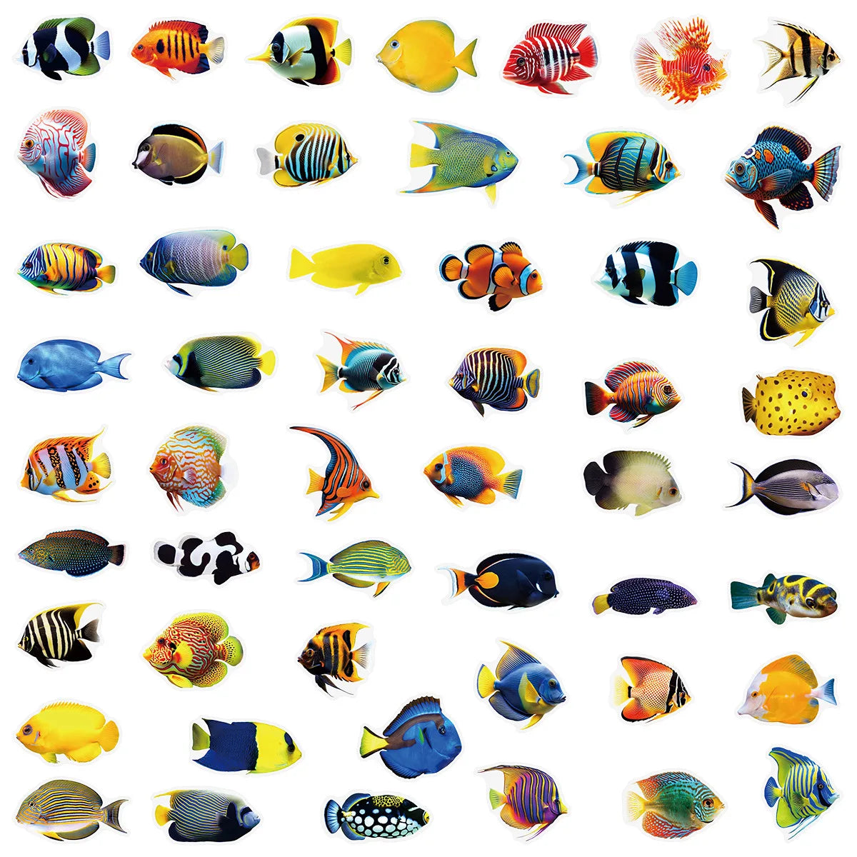 50-100PCS Transparent PET Marine Fish Stickers Luggage Water Cups Fish Tank Water Cups Notebook Decorative Stickers