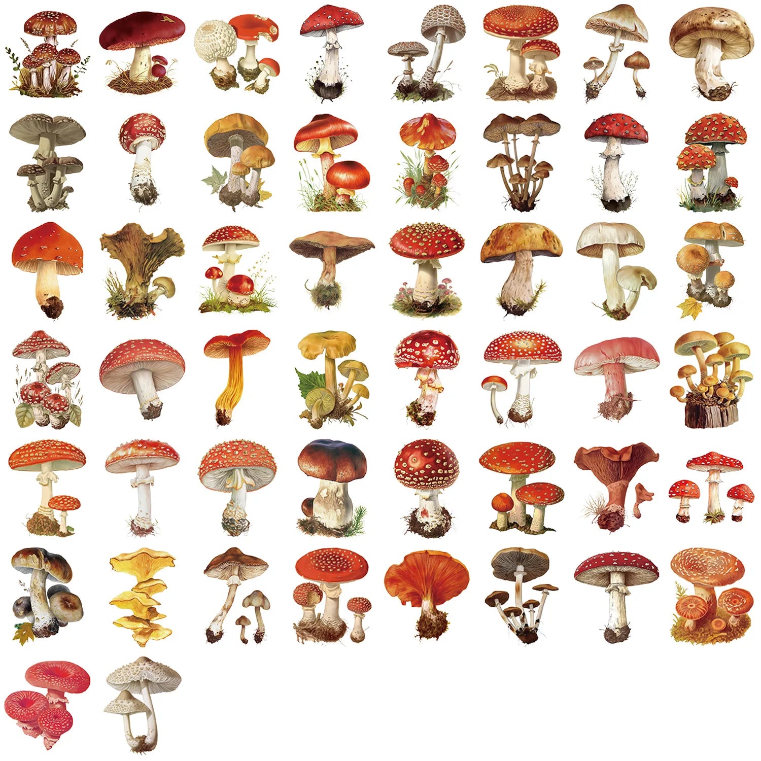 50Pcs Clear Cartoon Vintage Mushroom Stickers, Waterproof PET Children Stationery Decals Journal Guitar Notebook Decor Sticker