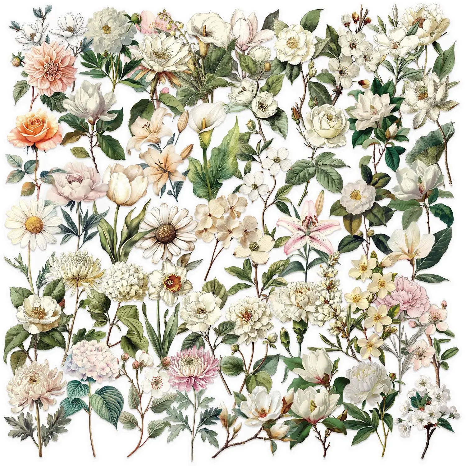 50/100PCS Transparent Retro Long Branch Flower Sticker Pack Waterproof Transparent PET Decorative Guitar Notebook Stickers