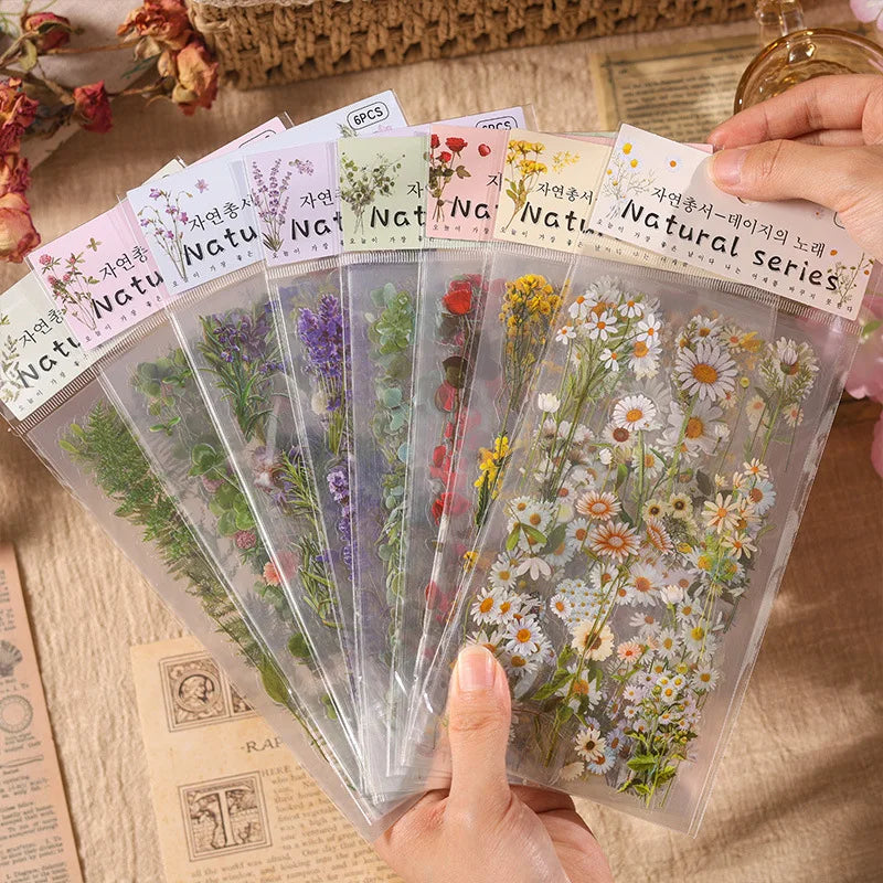 6pcs/pack Transparent PET Stickers Scrapbooking Materials DIY Junk Journal Collage Floral Leaves Plants Decor Stickers