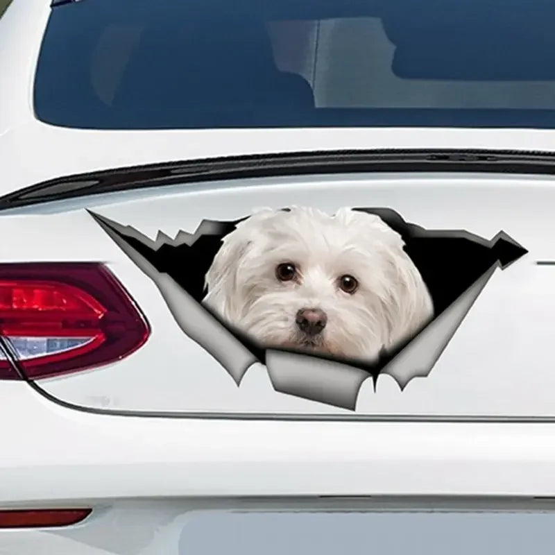 Cute Maltese Car Sticker Pet Dog Car Decoration Decal Reflective Sticker Waterproof Car Decal