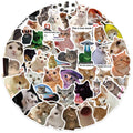 50Pcs Creative Network Popular Cat Meme Collection Hand Account DIY Graffiti Stickers Water Cup Skateboard Stickers