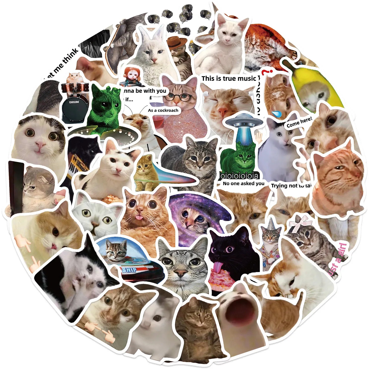 50Pcs Creative Network Popular Cat Meme Collection Hand Account DIY Graffiti Stickers Water Cup Skateboard Stickers