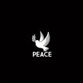 Dove Peace Symbol Vinyl Decal Car Truck Wall Sticker Choose Size Color