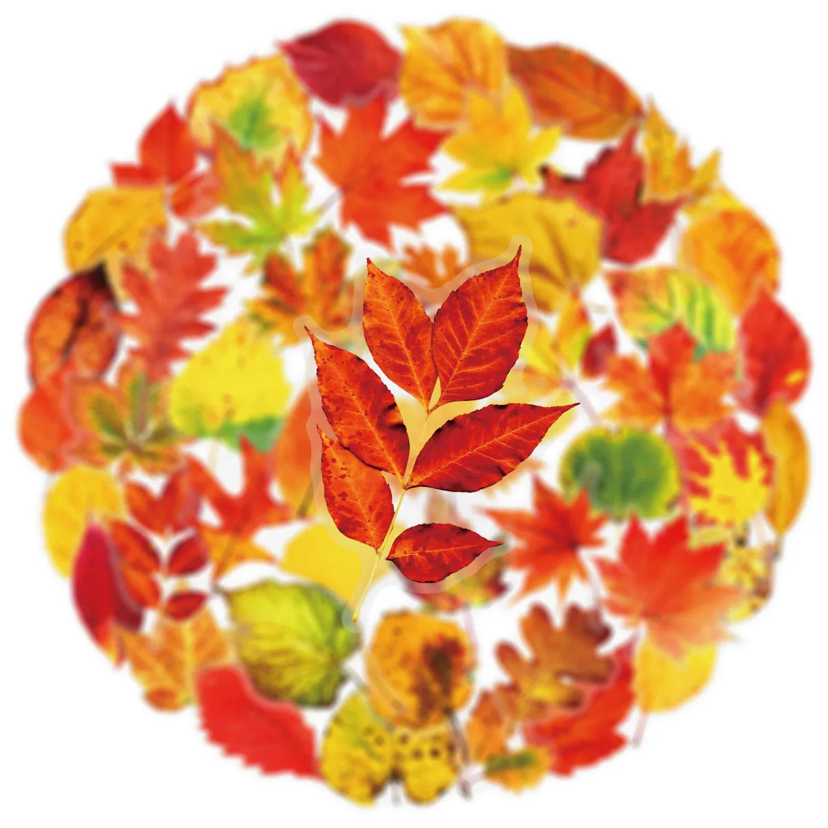 50PCS Plant Leafy Maple Leaf Stickers Transparent PET Waterproof DIY Stationary Notebook Personalized Ins Decor Stickers