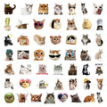50-Pack Funny Cat Stickers for Decorating Computers Phones Stationery Notebooks - Reward Decal Stickers