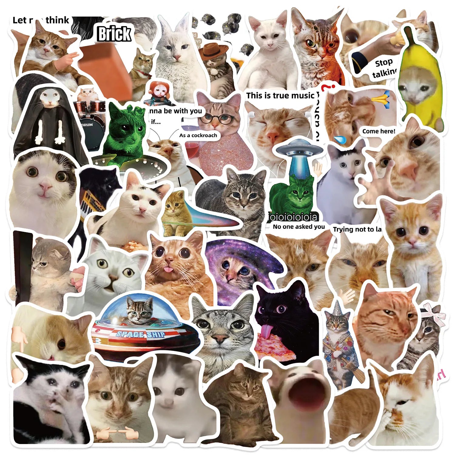 50Pcs Creative Network Popular Cat Meme Collection Hand Account DIY Graffiti Stickers Water Cup Skateboard Stickers