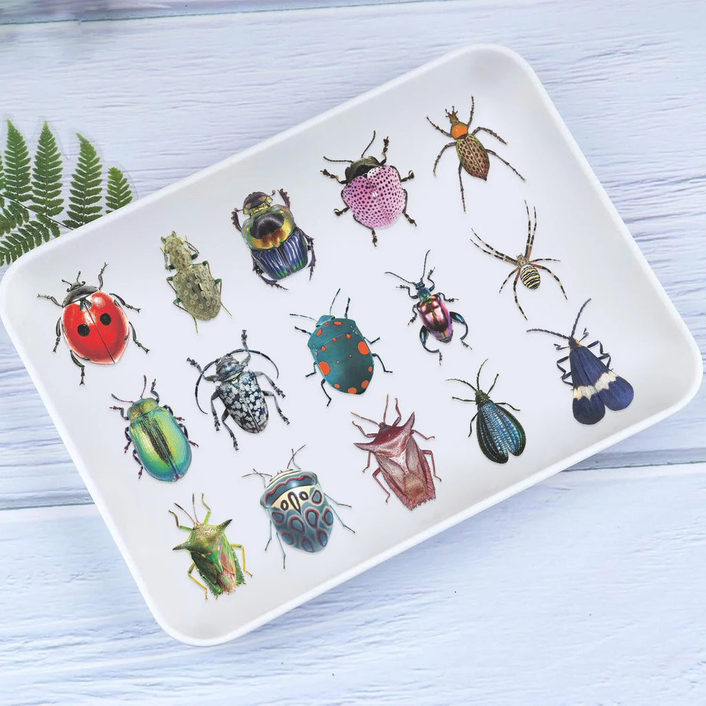 50pcs Cartoon Cute Cartoon Insect Beetle Stickers PET for Toy DIY Luggage Laptop Guitar Skateboard Phone Case Bike Car Sticker