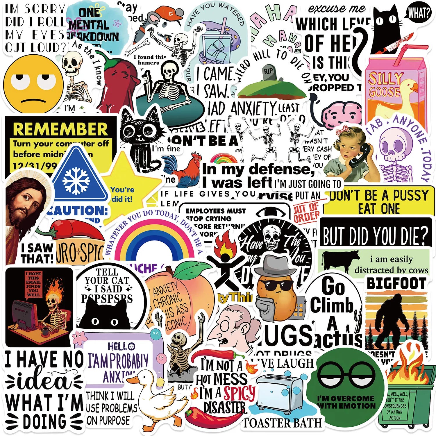 50PCS Funny Snarky Meme Stickers Cartoon Decals Decoration DIY Notebook Fridge Phone Bike Laptop Guitar Graffiti Stickers