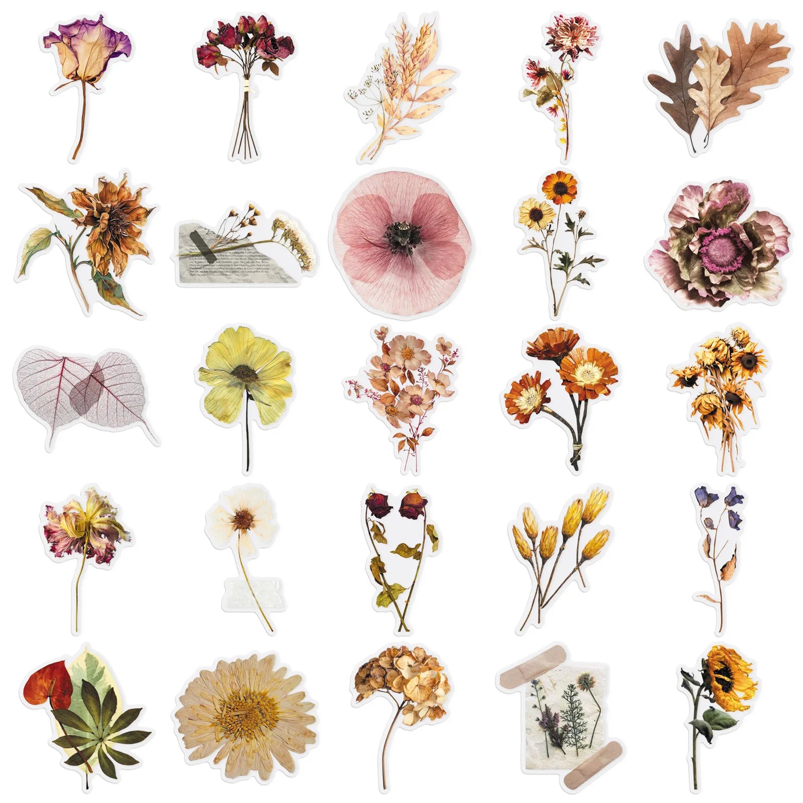 50/100PCS Cartoon Plant Transparent Stickers Forest Flower Specimen Realistic Flower Tent Decoration PET Waterproof Stickers