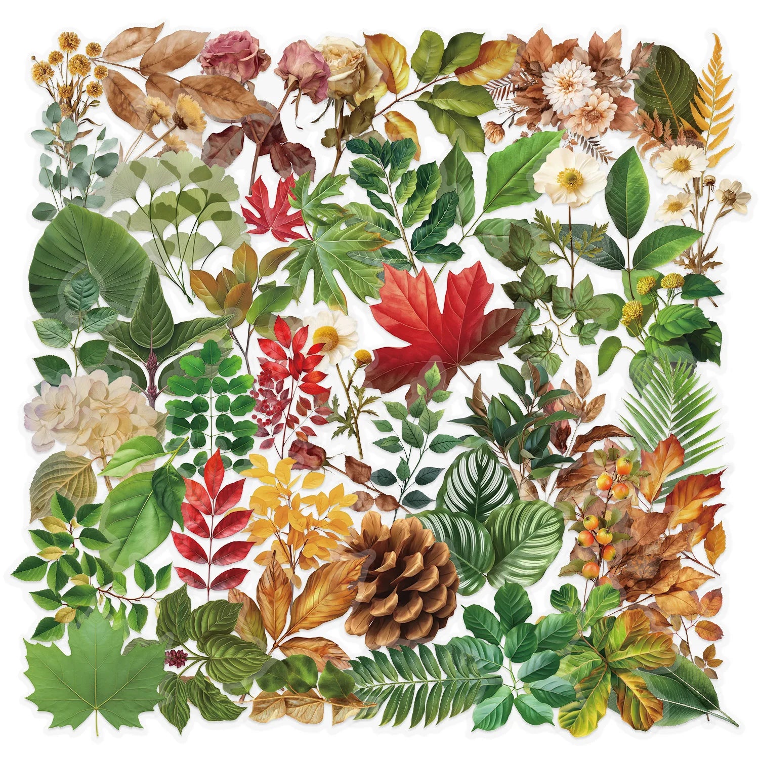 50 Pcs Transparent Cartoon Green Plant Sticker Packs, Waterproof Transparent PET Decorative Guitar Notebook Stickers