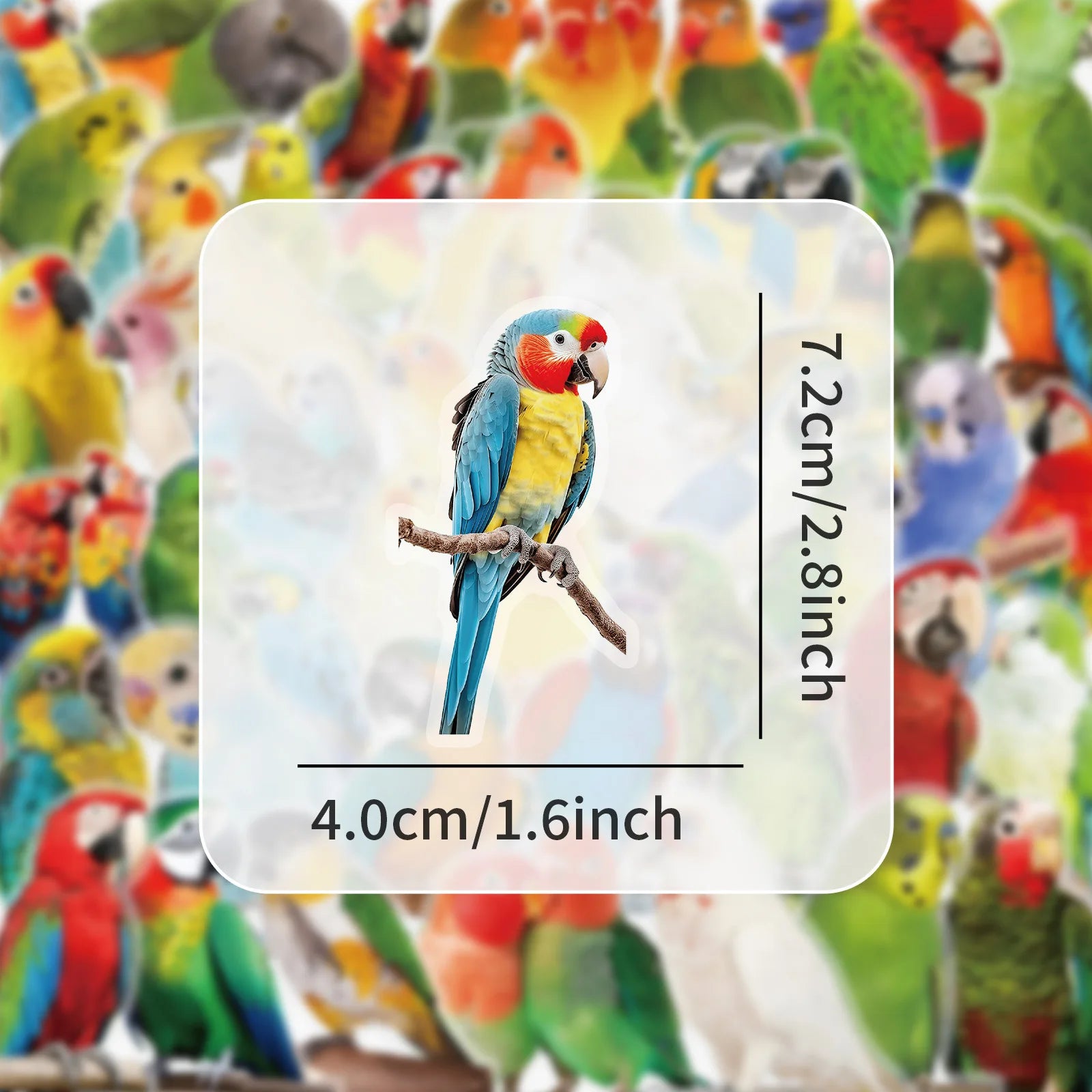 50-Pack Colorful Parrot Doodle PET Transparent Stickers Supplies Notebooks Luggage Waterproof Decorative Stickers