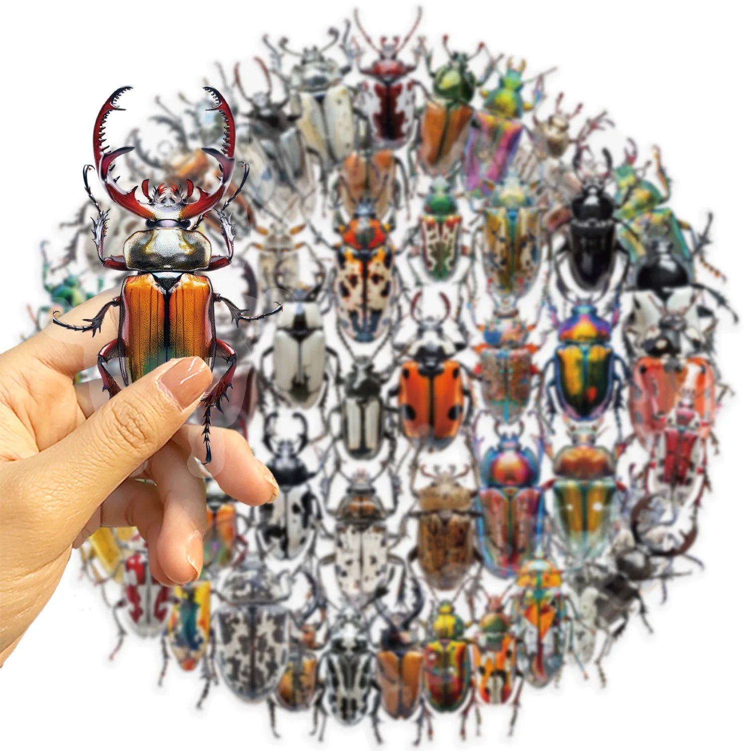 50pcs Cute Cartoon Insect Beetle Stickers PET for Toy DIY Luggage Laptop Guitar Skateboard Phone Case Bike Car Sticker