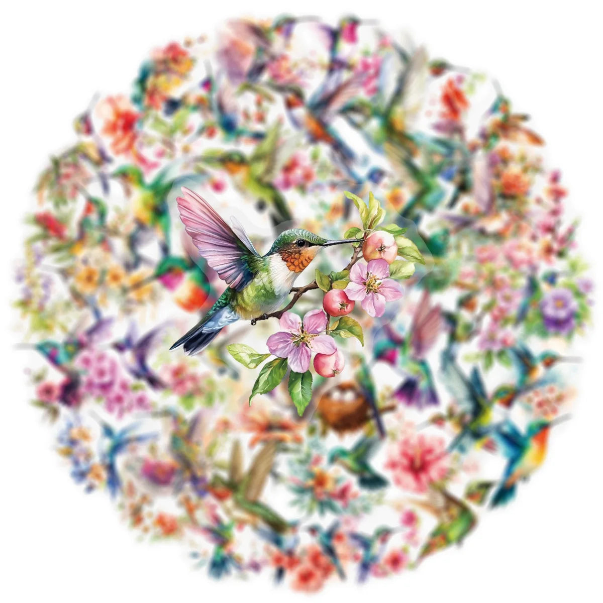 50/100PCS Cartoon Watercolor Hummingbird Pet Transparent Stickers Packaging Decoration Phone Case Luggage Waterproof Stickers