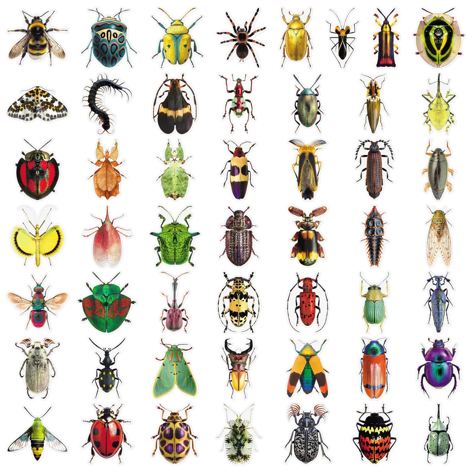 50PCS Insect Transparent Stickers, Cartoon Animal Unique Waterproof PET Student Stationery Notebook Journal DIY Art Stickers