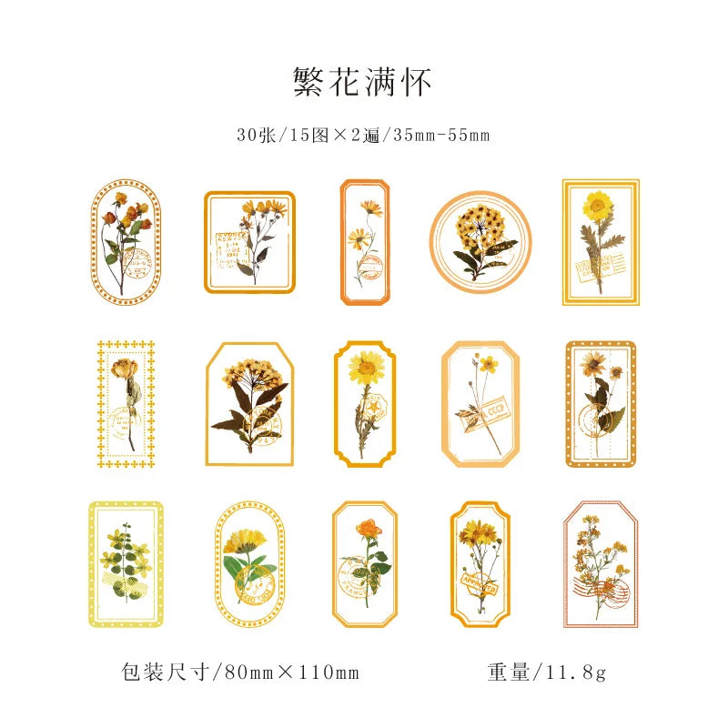 Mist Flower Series 30PCS PET Sticker Pack Light Retro Plant Frame DIY Decorative Stationery Notebook Stickers -6 Styles