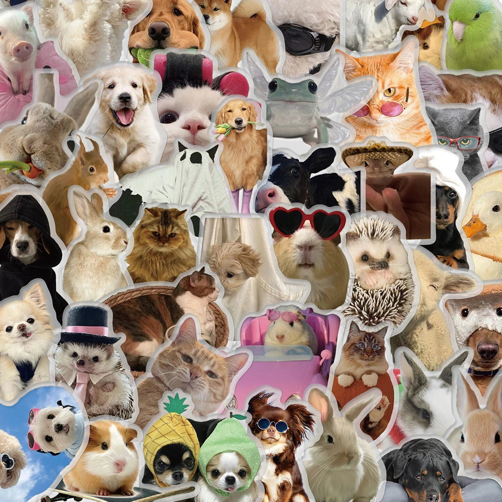50PCS Transparent Fun Pattern Stickers for Pets Sticker Nostalgia Modern Coffee Bicycle PVC Skateboard Art Picture Stickers ﻿