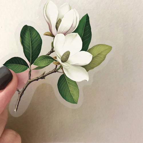 100PCS Green Plant Leaf Stickers Green Plant DIY Decor Phone Guitar Stationery Box Notebook Pen Holder Transparent PET Stickers