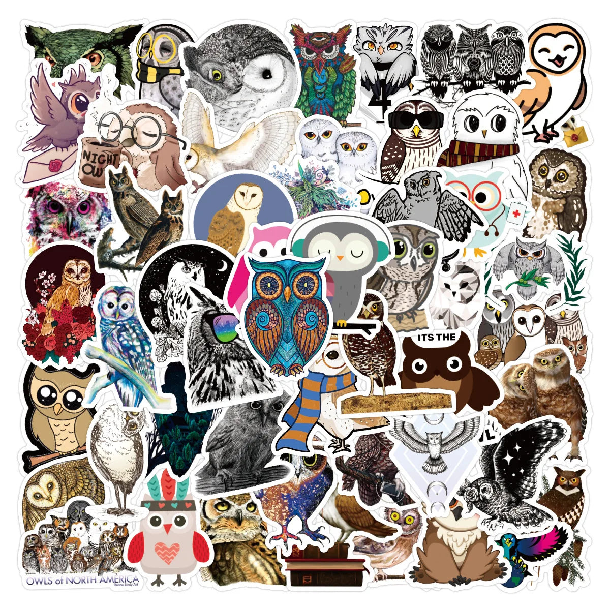 50-Pack Animal Owl Graffiti Stickers Waterproof Cartoon Decals for Notebooks Skateboards Luggage Fun Stationery Supplies Sticker