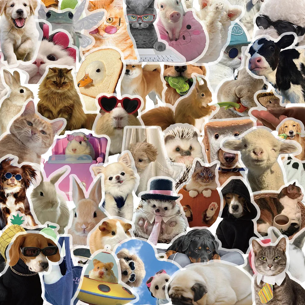 50PCS Kids Cute Cartoon Cat Dog Meme/Kitten Sticker Pack Waterproof Transparent PET Decor Guitar Notebook Stickers