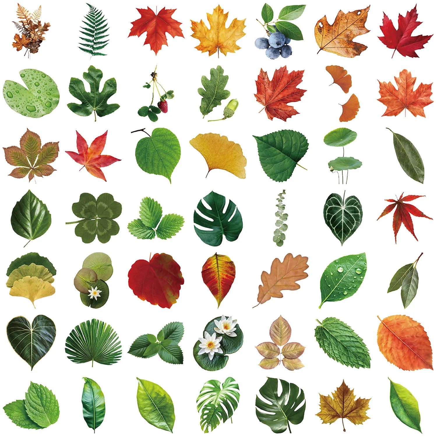 50PCS Transparent Tree Green Leaf Sticker Waterproof Decorative Guitar Notebook Children Stationery PVC Sticker