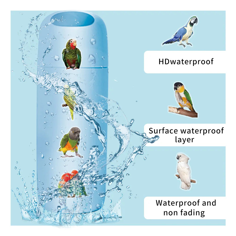 50-Pack Colorful Parrot Doodle PET Transparent Stickers Supplies Notebooks Luggage Waterproof Decorative Stickers