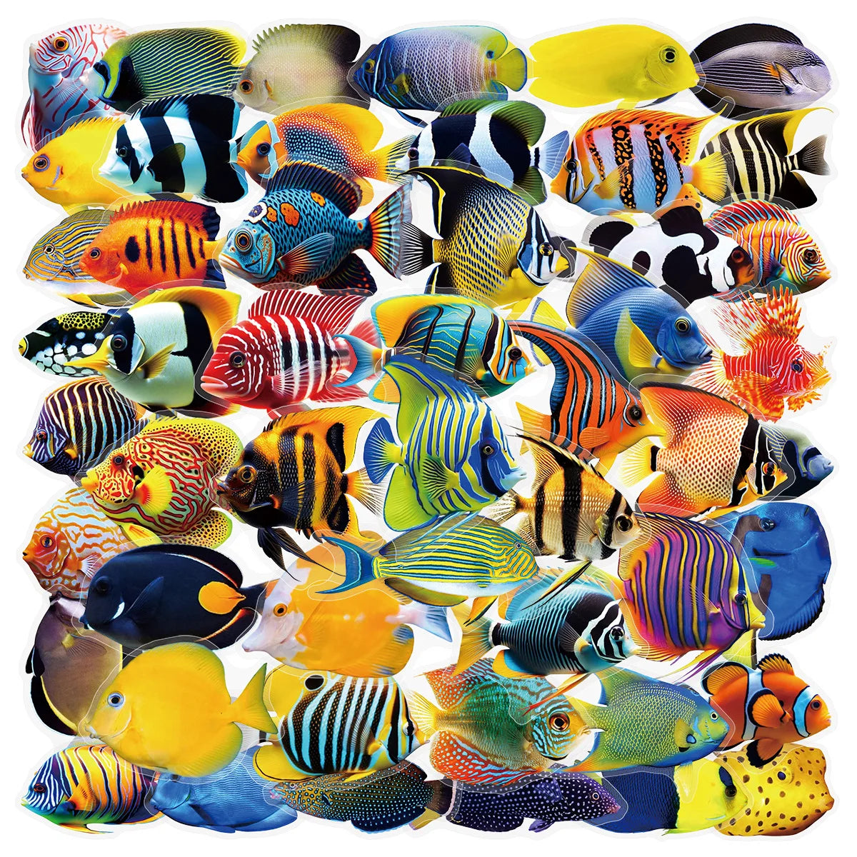 50/100Pcs Marine Fish Transparent Stickers Learning Stationery PET Decal Notebook Phone Luggage Fridge Cup Decorative Stickers