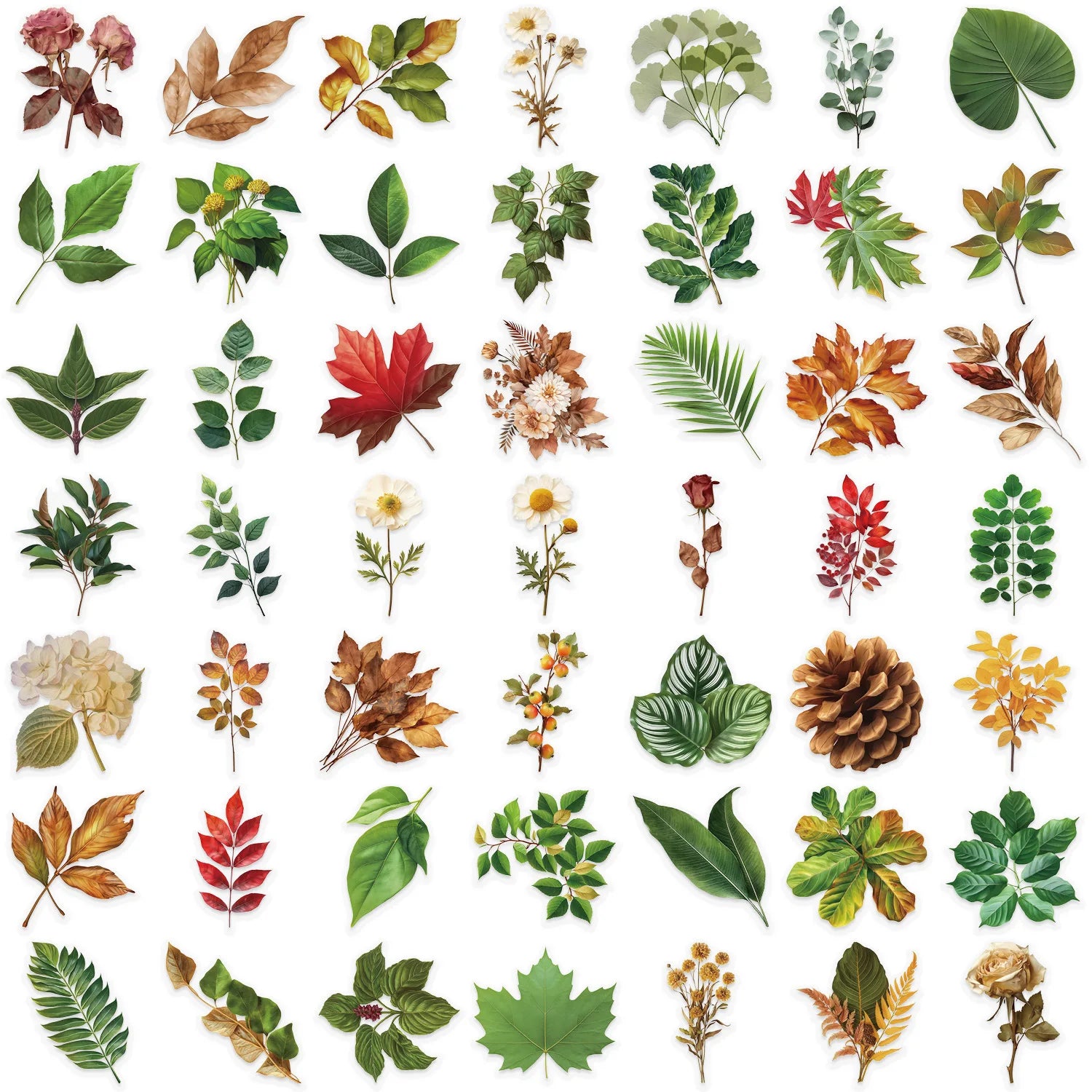 50 Pcs Transparent Cartoon Green Plant Sticker Packs, Waterproof Transparent PET Decorative Guitar Notebook Stickers