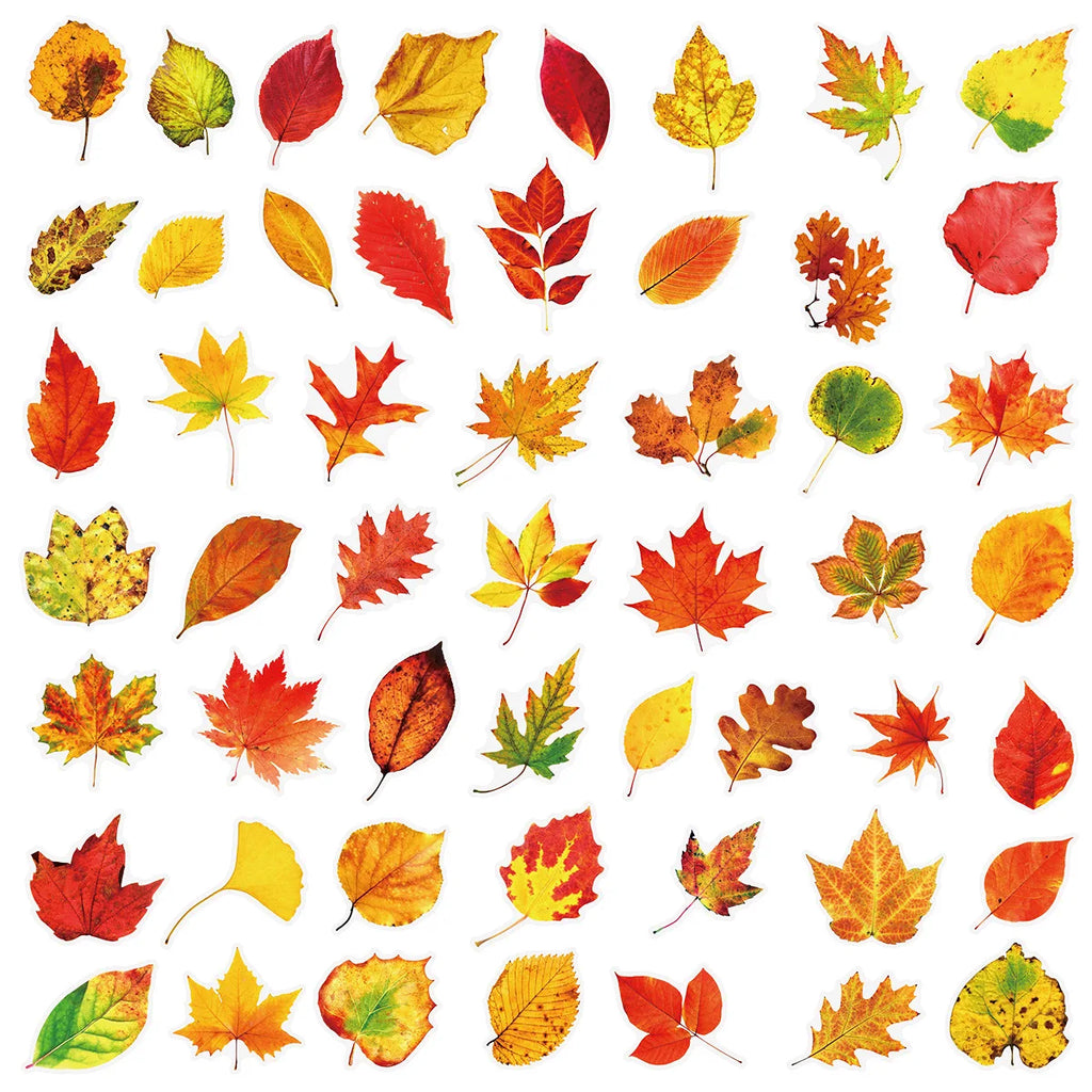 50PCS Plant Leafy Maple Leaf Stickers Transparent PET Waterproof DIY Stationary Notebook Personalized Ins Decor Stickers