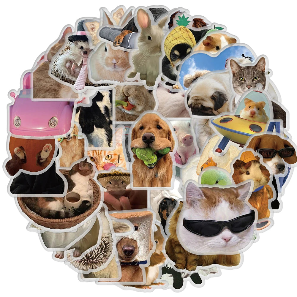 50PCS Transparent Fun Pattern Stickers for Pets Sticker Nostalgia Modern Coffee Bicycle PVC Skateboard Art Picture Stickers ﻿